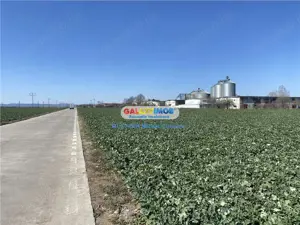 Vanzare teren industrial Paulesti Prahova gata de construit - imagine 4