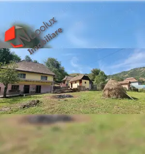 Casa deosebita in zona turistica pitoreasca Valea Ariesului - imagine 5