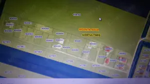 vanzare teren padurea bistra - imagine 5