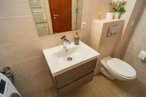 Apartament 2 camere, inchiriere lunga durata, Herastrau - imagine 16