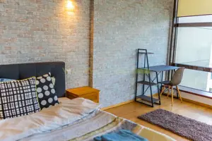 Apartament 2 camere, inchiriere lunga durata, Herastrau - imagine 9