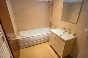 Apartament 2 camere, inchiriere lunga durata, Herastrau - imagine 18