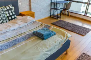 Apartament 2 camere, inchiriere lunga durata, Herastrau - imagine 12