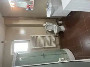 Casa cu mansarda+casa batraneasca in Trifesti Jud. Neamt - imagine 9