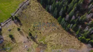 Teren intravilan cu utilitati, platou/pasune impadurita, Dealu Negru, Calatele - imagine 2