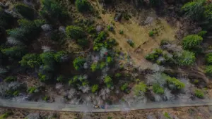 Teren intravilan cu utilitati, platou/pasune impadurita, Dealu Negru, Calatele - imagine 4