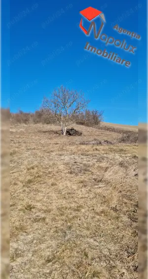 Exclusivitate! Teren de casa, Com. Cojocna - imagine 4