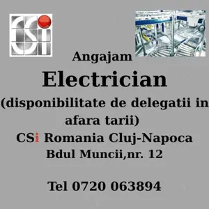 Electrician (disponibilitate de delegatii in afara tarii) - imagine 2
