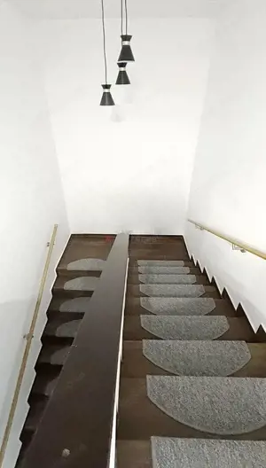 Terase generoase cu vederea spre padure - imagine 13