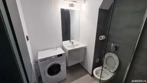 Central-Apartament in REGIM HOTELIER - imagine 4