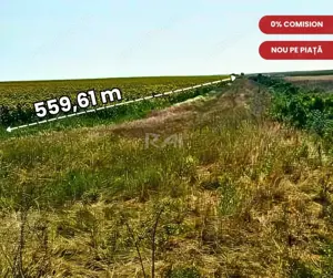Investiție vizionară: 17.000 mp lângă intravilan-560 m de Centura Sud-3,4 €/mp! - imagine 2