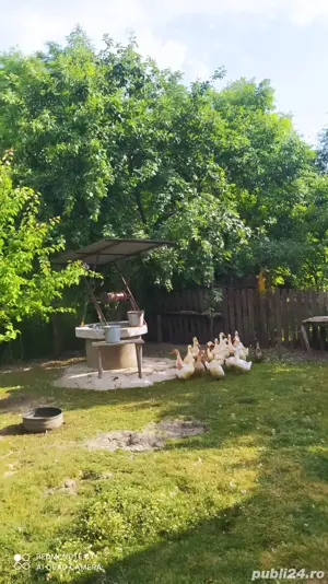 casa comnina Romanesti Jud. Botosani - imagine 2