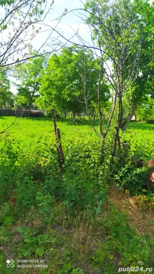 casa comnina Romanesti Jud. Botosani - imagine 4