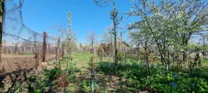 Casa de vanzare - Caracal - jud. Olt - imagine 8