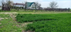 Teren intravilan de vanzare - imagine 3