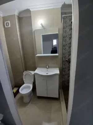 2 cam dec amenajat zona Dambovita - imagine 6