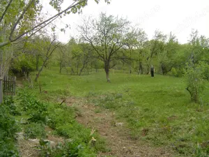 Teren intravilan Cornu, Prahova, la 23 km de Sinaia, proprietar, toate utilitatile, 30 Euro mp.  - imagine 5