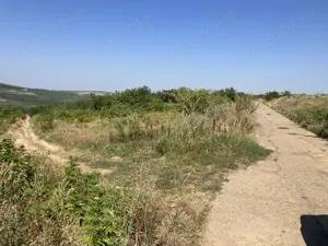 Teren extravilan Sorogari (IASI) - imagine 3