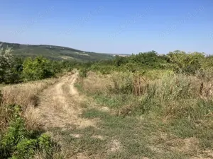 Teren extravilan Sorogari (IASI) - imagine 4