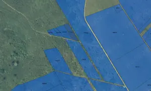 Teren extravilan Sorogari (IASI) - imagine 5