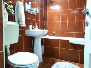 Baia Mare Apartament 3 Camere decomandat Oituz Zona Ursus - imagine 7