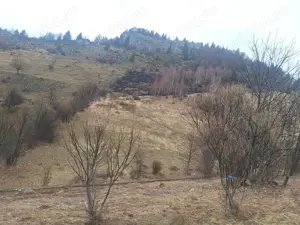 Teren intravilan Măgura  - imagine 3