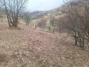 Teren intravilan Măgura  - imagine 7