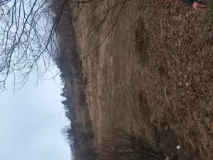 Teren intravilan Măgura  - imagine 8