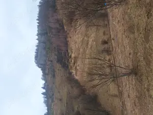 Teren intravilan Măgura  - imagine 10