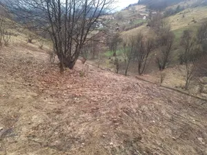Teren intravilan Măgura  - imagine 6