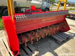 tocatoare forestiera  - imagine 2