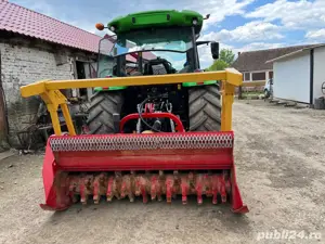 tocatoare forestiera  - imagine 4