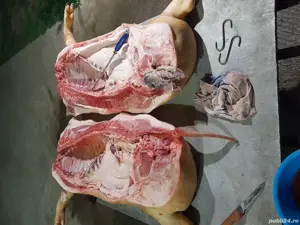 porci de carne - imagine 3