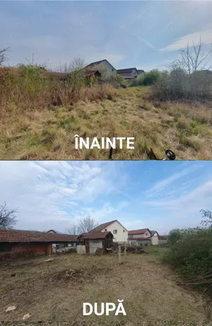 Tai iarba - defrișări parcele - gard viu - Tai iarba - întreținere spatii verzi 