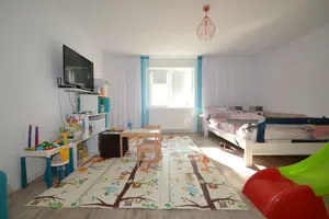 Casa cu teren de 5165 mp in Becicherecu Mic, la artera principala - imagine 8