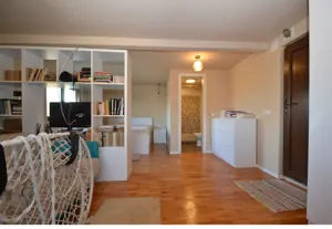 Casa cu teren de 5165 mp in Becicherecu Mic, la artera principala - imagine 9