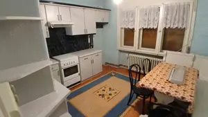 Comision 0 - Casa cu 5 camere si 2 garaje in Caransebes - imagine 8