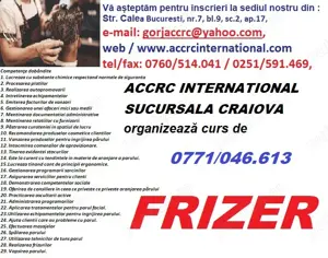 Curs Frizer-