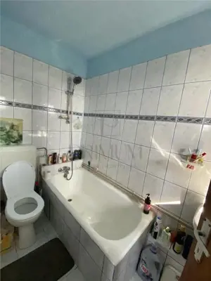 ARADULUI - 2 Camere - Mobilat - Utilat - Locatie buna - imagine 8