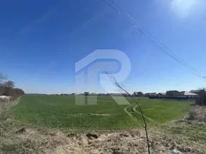 Gruiu_Lipia_Teren Intravilan langa padure - imagine 4