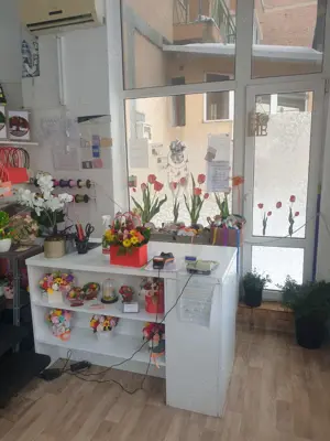 Spatiu zona Garii   statia Faget   38 mp   vizibilitate stradala - imagine 10