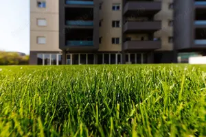 Apartament 3 Camere - Calea Aradului - Comision 0% - imagine 15