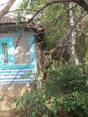 Oferta Teren 5000 MP + Casă batraneasca de Vânzare în Comuna Drăgănești, Prahova - imagine 3