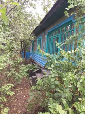 Oferta Teren 5000 MP + Casă batraneasca de Vânzare în Comuna Drăgănești, Prahova - imagine 2