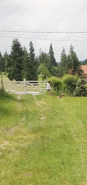 Teren de vanzare zona Banffy - imagine 2