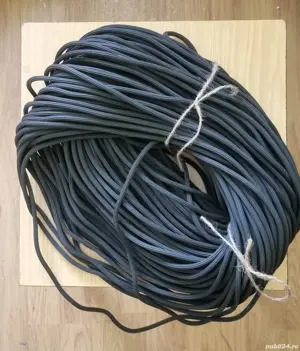 Cheder rame plase insecte