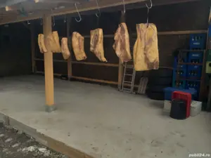 Slănină untoasă și terapeutică de porc Bazna  - imagine 4