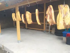 Slănină untoasă și terapeutică de porc Bazna  - imagine 3