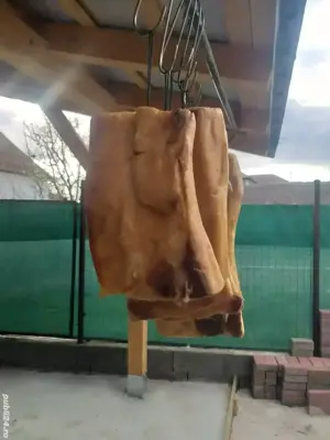 Slănină untoasă și terapeutică de porc Bazna  - imagine 5