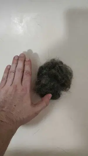 Perie cu abur rece pentru pisici, catei etc NOUA - imagine 3